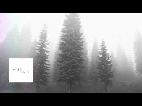 Muzaikfm 015 - radio live set I FAIDEL