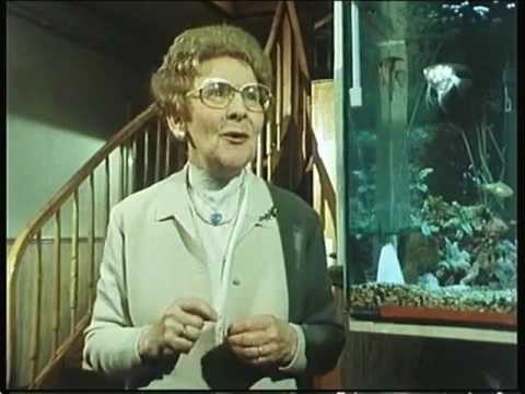 Der Alte - Folge 67: Kalt wie Diamant