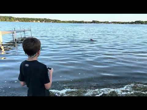 HORIZON HOBBY 17 Power Boat Racer ProBoat