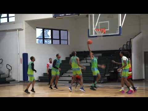 Panthers vs No Limit Highlights