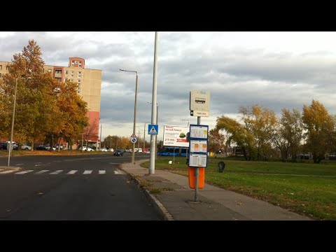 Budapest 126-os járat; Dunakeszi, Auchan áruház - Káposztásmegyer, Szilas-patak