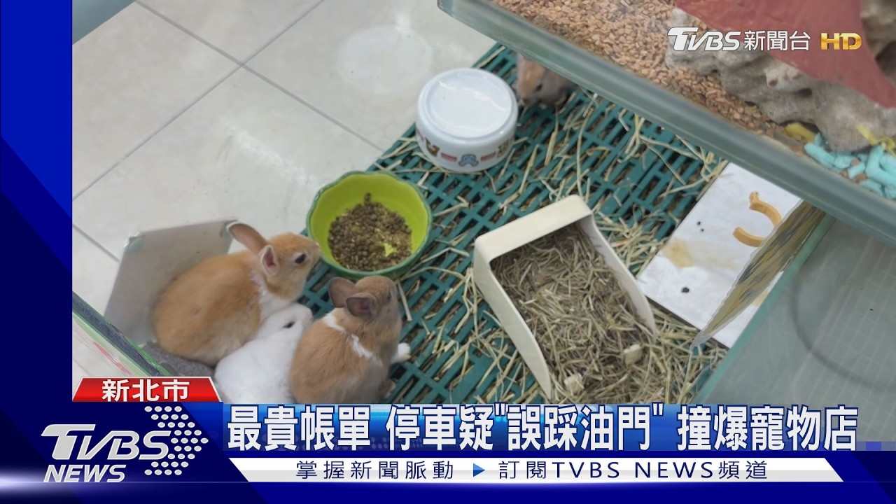 停車失控暴衝！板橋「魚中魚」落地窗遭狠狠撞碎　店家傻爆眼
