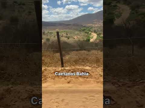 Caetanos Bahia #moto #bahia