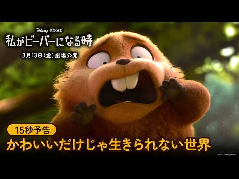 15秒予告｜かわいいだけじゃ生きられない世界
