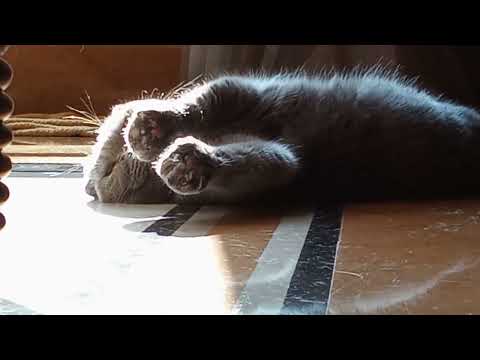 This Is How Charmi Sleeps