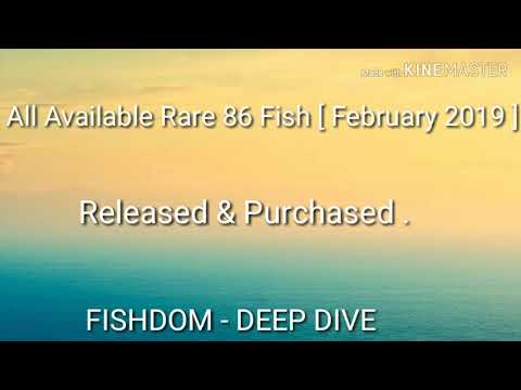 Fishdom Deep Dive - WoW Factor All Available Rare 86 Fish Purchased & Released