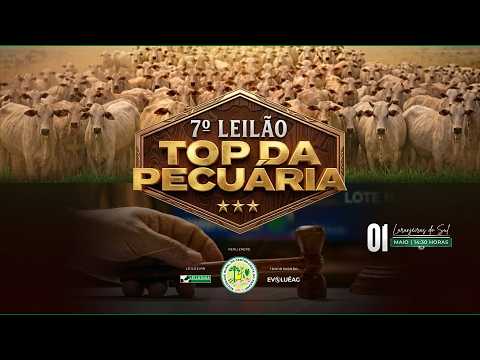 Leilão de Gado AO VIVO - Laranjeiras do Sul 01/05/26 14H30 | Leiloingá Leilões
