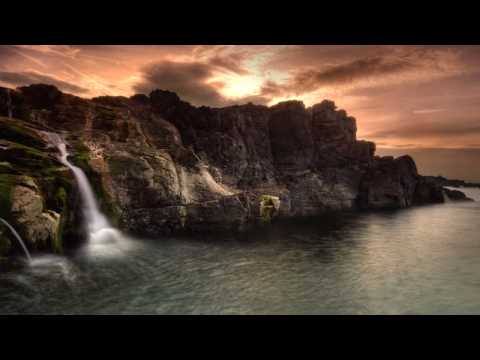 Baced! vs. Ace's Delight - Witness