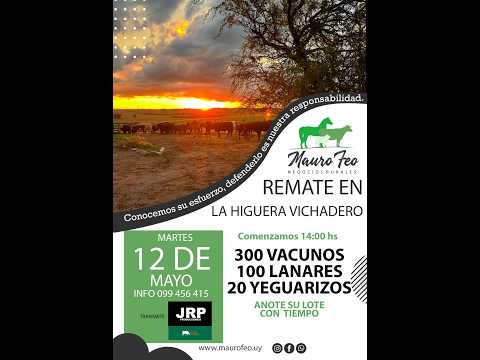 12/05/2026 Local La Higuera Vichadero - Rivera - Feria Mensual - Mauro Feo