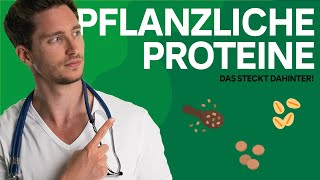 Pflanzliche Proteine - Diese Nahrungsmittel sind Proteinquellen!
