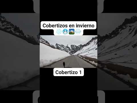 Cobertizo 1 Los Andes Chile