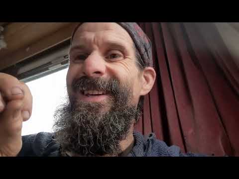 Margam country park archaeology cover up