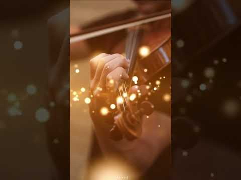 Hridayam Movie Violin BGM Ringtone
