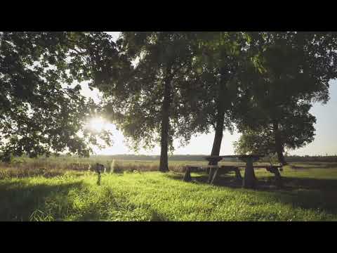 A-N-D / Tomoya  Naka