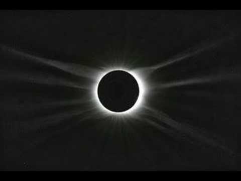 Cúi xuống - Steel Owl