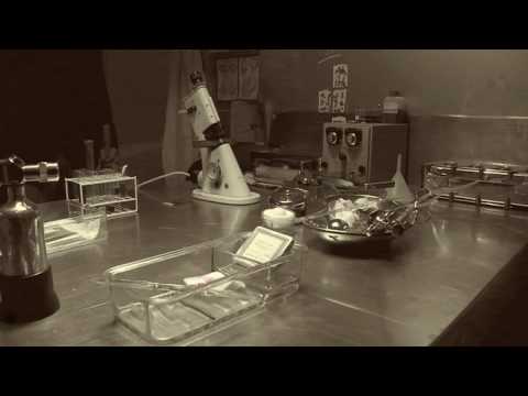 fumetto prof. t.o.t.t.