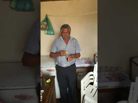 Lourenço fotógrafo Paraibano MA