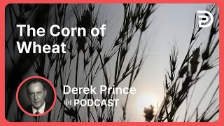 Strength Through Weakness  4 of 5 - The Corn of Wheat