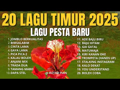 20 Lagu Timur 2025 – Lagu Pesta Baru | PICA-PICA 2 JUAN REZA | GAYA LAMA JACSON ZERAN | ANJANI MIX