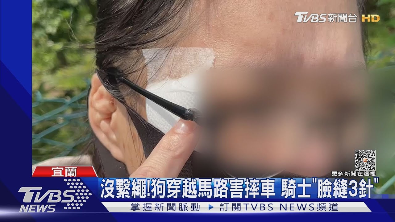 沒繫繩!狗穿越馬路害摔車 騎士「臉縫3針」