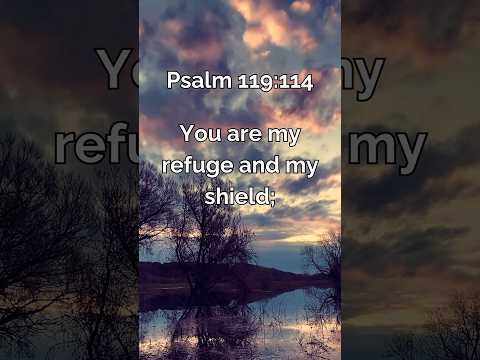 Psalm 119:114