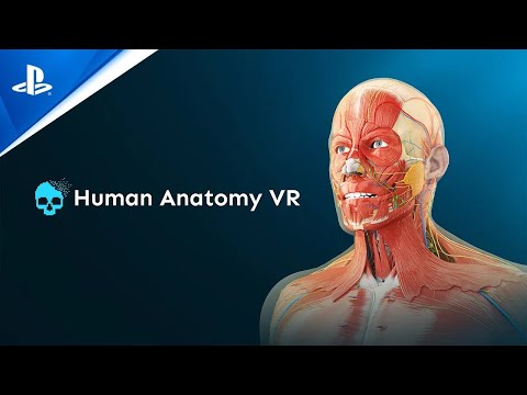 Human Anatomy VR