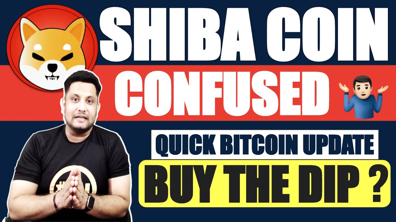 क्या Shiba Inu coin का Dogecoin जैसा तो हाल नहीं होगा? Bitcoin down Dip buying opportunity in coins