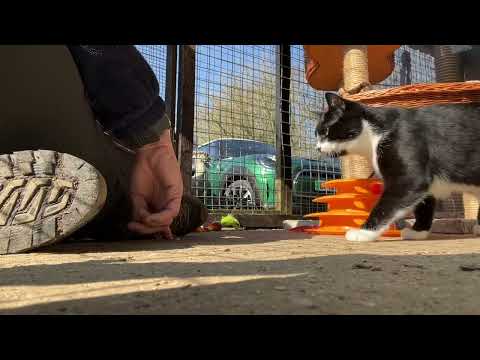 Latoya trying to be brave