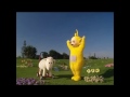 The Sad Lamb