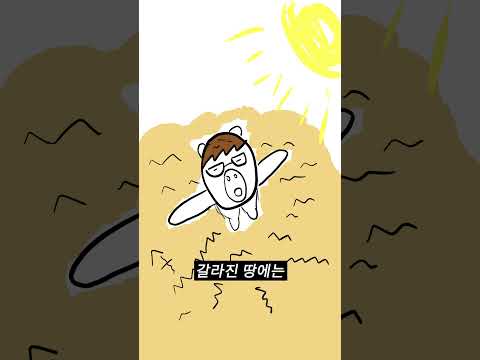'이 증상' 두피는 모발이식 안돼??