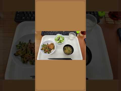 みんだいランチおかわり