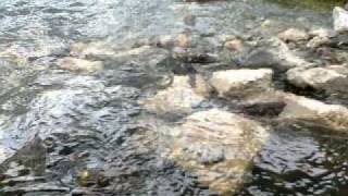 yamandu perez y amigos, la noche esta muy oscura