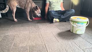 Vitos thinking game with Lumi