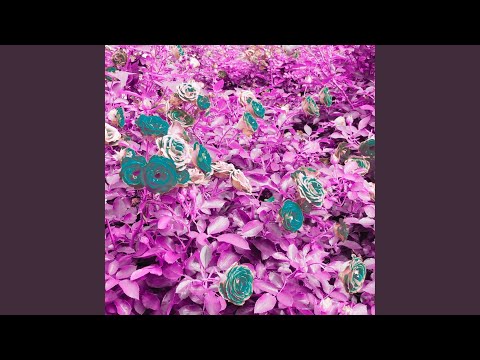 Cold (feat. Dominika Hugai)