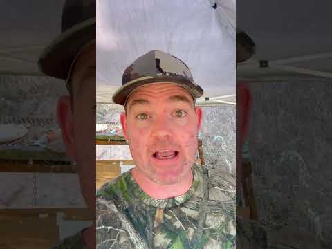 Sub Moa Rifles