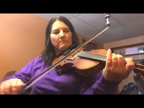 Day 325 - Plaza Polka - Patti Kusturok's 365 Days of Fiddle Tunes