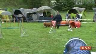 preview picture of video 'Agility-Turnier beim Schäferhundeverein Kaufungen'