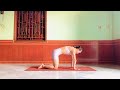 Yoga In Pantyhose Simple Morning Stretching Yoga Deep Yoga Flow For Flexibility
