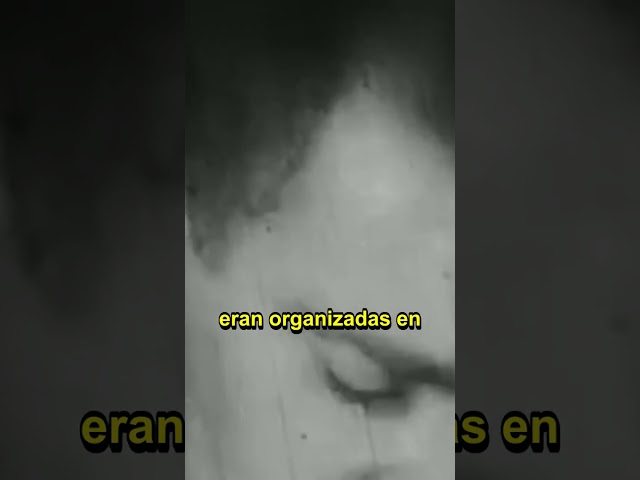 Vídeo relacionado con Los fabricantes de terroristas: Guerras, cárceles, algoritmos y dinero en la fábrica del miedo