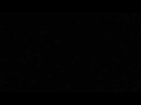 Bruce Lee is Dead (Diss track)