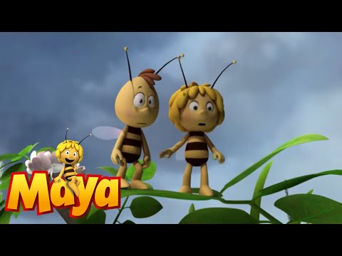 Weather on demand - Maya the Bee - Episode 29