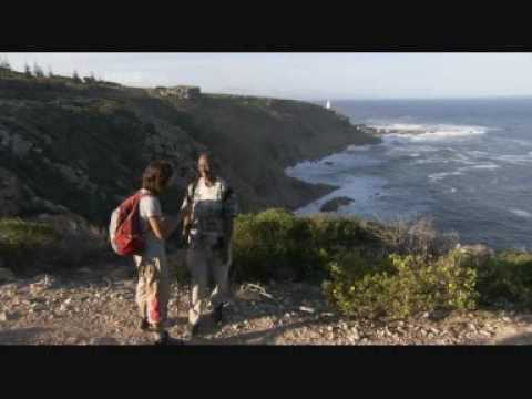 The skunk rolls in the grass and breaks his windpipe