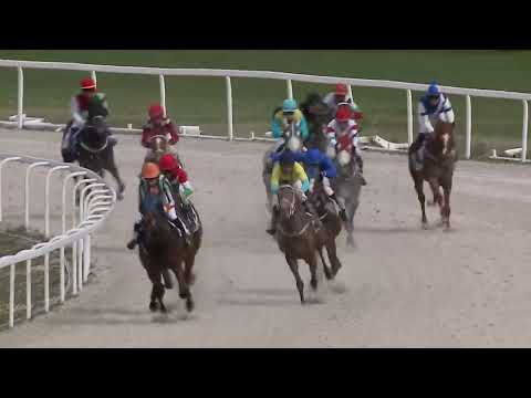 2023.04.16. 03. futam - NYERETLENEK VERSENYE (V.kat.) (szintetikus pálya)