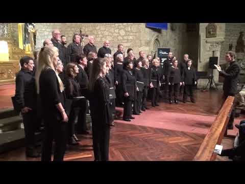 Argizaiola, Zozoak Abesbatza