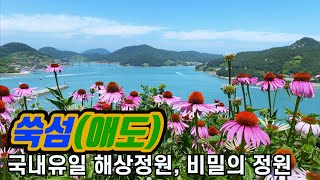 [고흥 가볼만한곳 #2] 고흥여행에서 꼭 가봐야 하는 곳, 해상정원 고흥 쑥섬(애도)  | 전라도여행