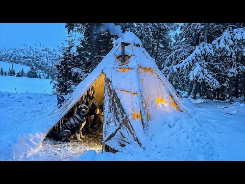 3 Days WINTER CAMPING in Blizzard With My Dog.  -13° WILDERNESS SURVIVAL. Snowstorm Bushcraft ASMR
