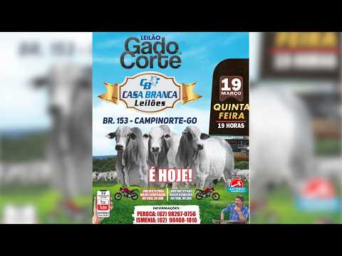LEILÃO GADO DE CORTE CASA BRANCA LEILÕES -  CAMPINORTE - GO 19 /03/ 2026