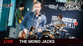 ROMÂNIA ARE SÂNGE DE ROCKER III, The Mono Jacks- COVER „Cântec pentru sănătatea ierbii”