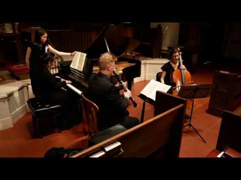 Brahms: Trio in A Minor,  Op. 114 I. Allegro