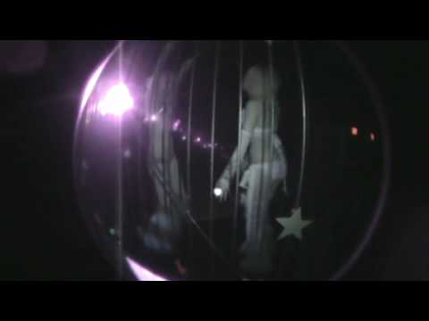 The Forest At Treehouse Denver Progressive House